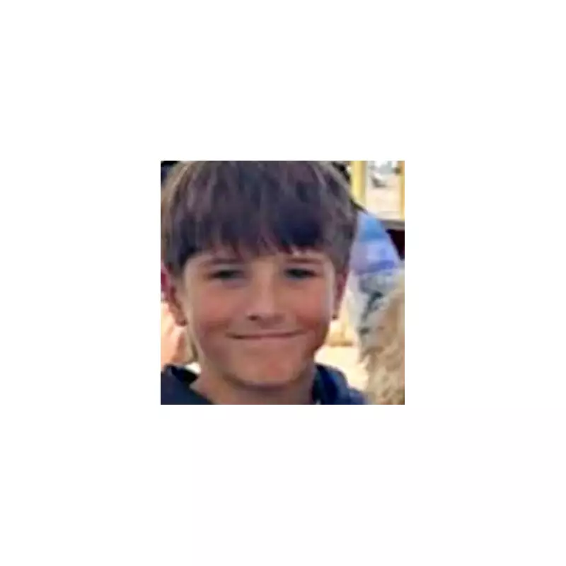 Sydney Shark Terror: Boy, 12, Fights for Life After Bull Shark Mauling