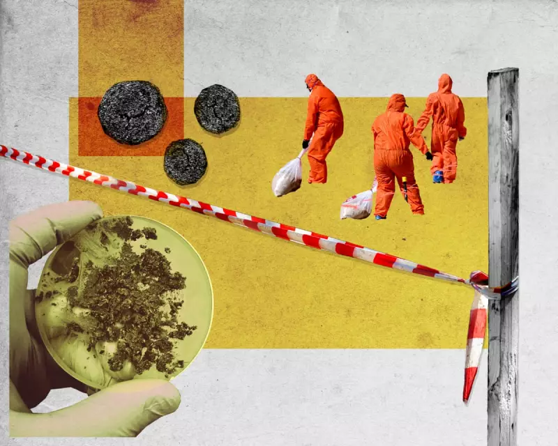 Sydney's $32bn Sewage Overhaul: The Fight to End 'Poo Balls' and Ocean Pollution