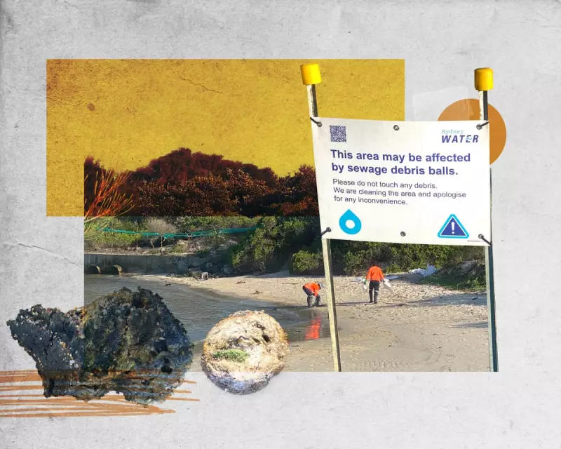 Sydney's Sewage Crisis: Up to 12,000 Food Businesses Suspected of Illegal Waste Discharge