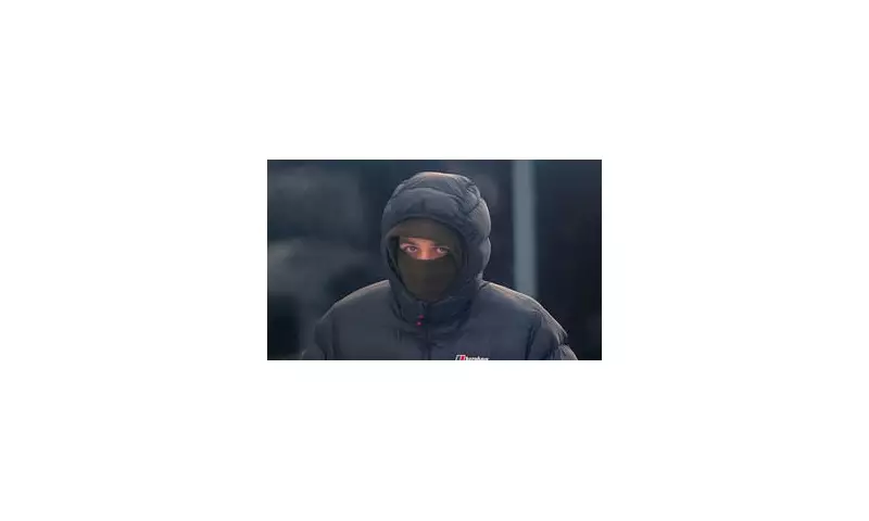 Teen in court over fatal zebra crossing crash that killed great-grandmother, 86