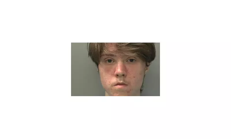 Teenager jailed for 14 months over copycat Southport terror plot