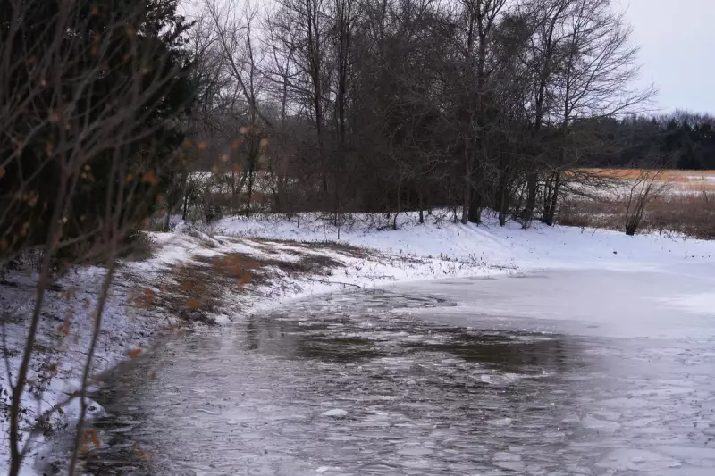 Texas Mother's Heartbreak: Failed Rescue of Three Sons from Icy Pond