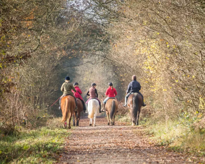 The Great British Poo Divide: Why Must Dog Owners Scoop But Horse Riders Can Leave It?