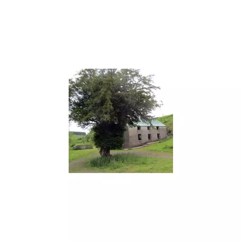 The Lost Village of Epynt: How 54 Welsh Families Were Forced to Leave Their Homes