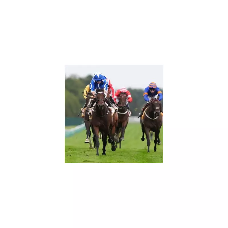 The Reverend's Hurdle Debut Triumph Sees Cheltenham Odds Slashed to 16-1