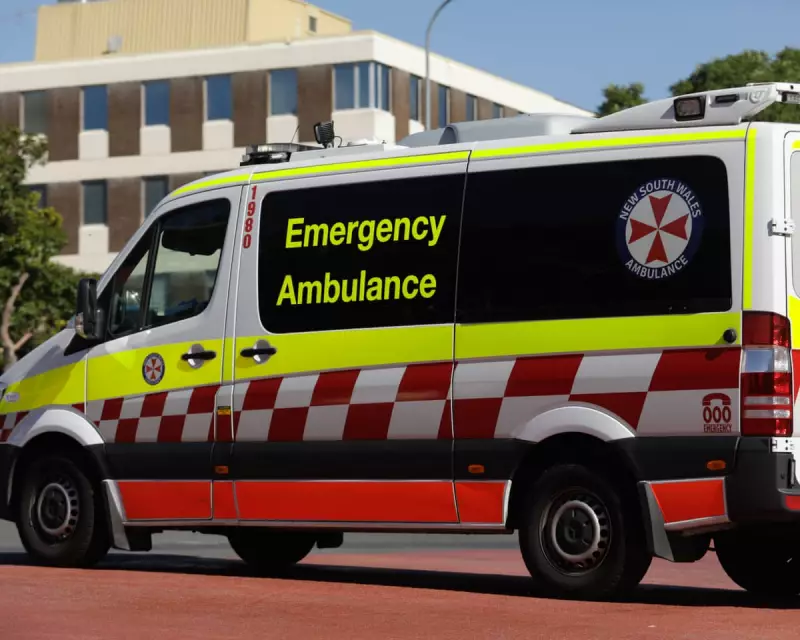 Third Sydney Shark Attack in Two Days Leaves Man Critically Injured at Manly Beach