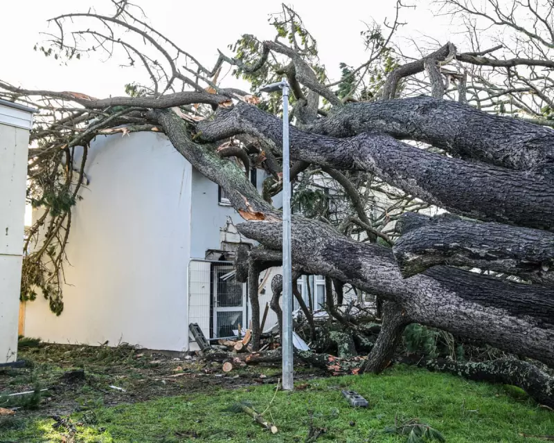 Thousands in Cornwall Still Without Power and Water Days After Storm Goretti