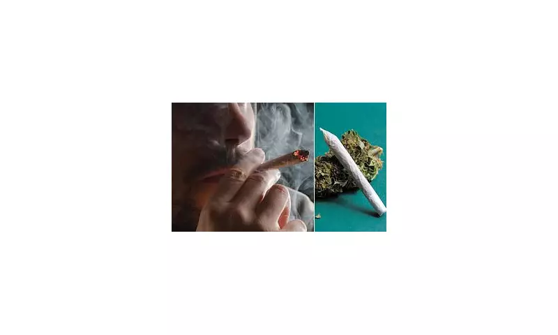 Thousands prescribed super-strength cannabis for anxiety in UK loophole