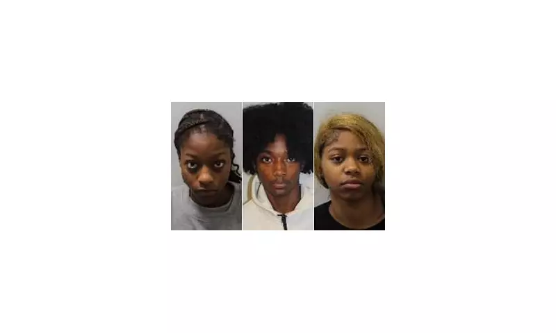 Three Teenage Girls Jailed for 23+ Years in Brutal County Lines Murder