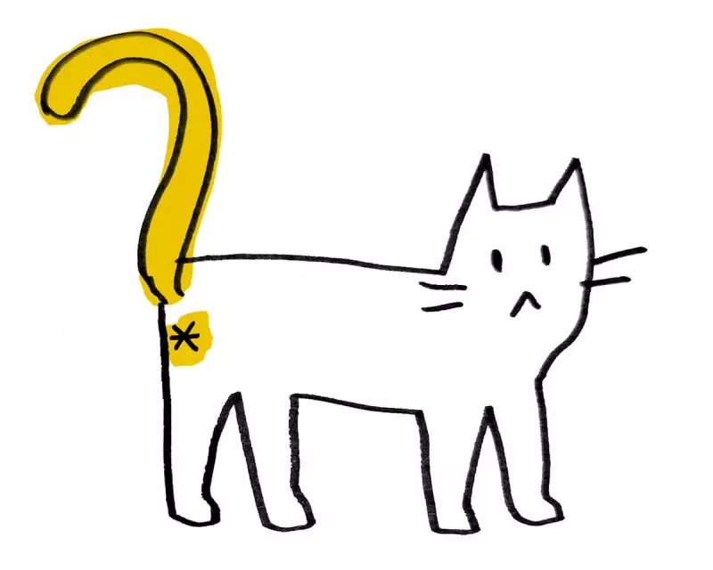 Thursday News Quiz Gets a Fresh Look: New Era Begins with Issue 230