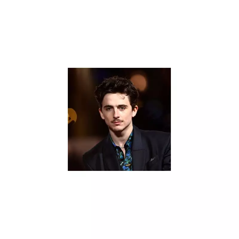 Timothée Chalamet Eyes First Golden Globe Win with Marty Supreme Nominations