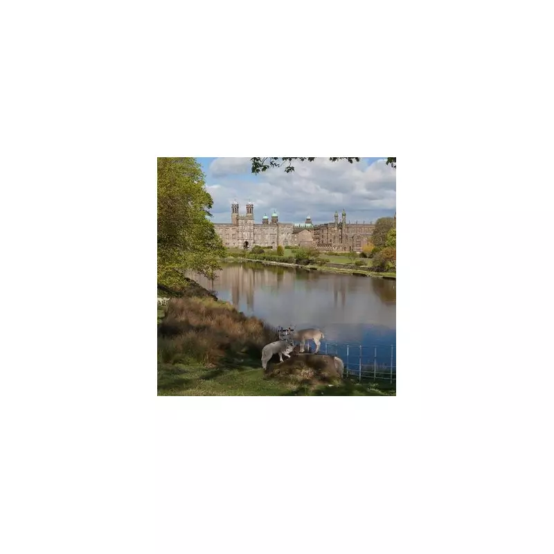 Tolkien's Lancashire Trail: Where Middle-Earth Magic Meets Ribble Valley Reality