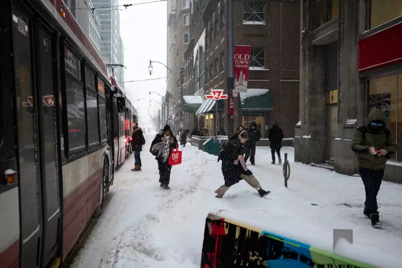 Toronto Snow Chaos: 30cm Blizzard Shuts Schools and Snarls Commute
