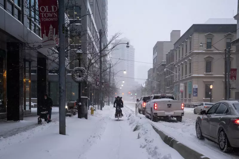 Toronto Snowstorm Chaos: 30cm Snow Brings City to a Halt, Schools Shut