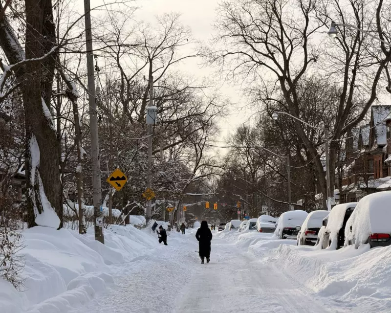 Toronto's Record Snowfall: City Digs Out After Historic Winter Storm