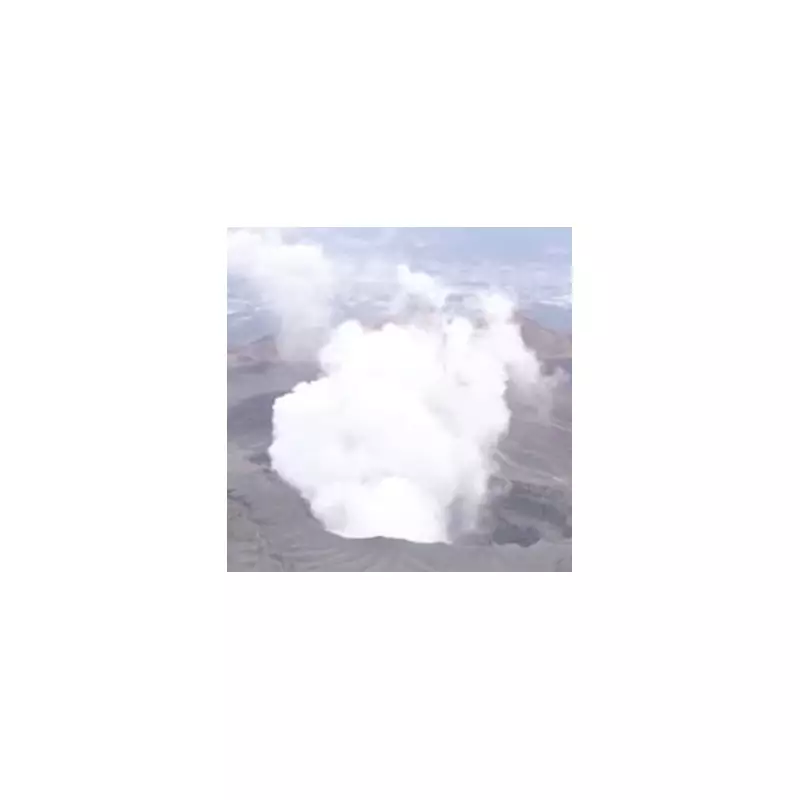 Tourist Helicopter Missing Near Japan's Mount Aso Volcano Found