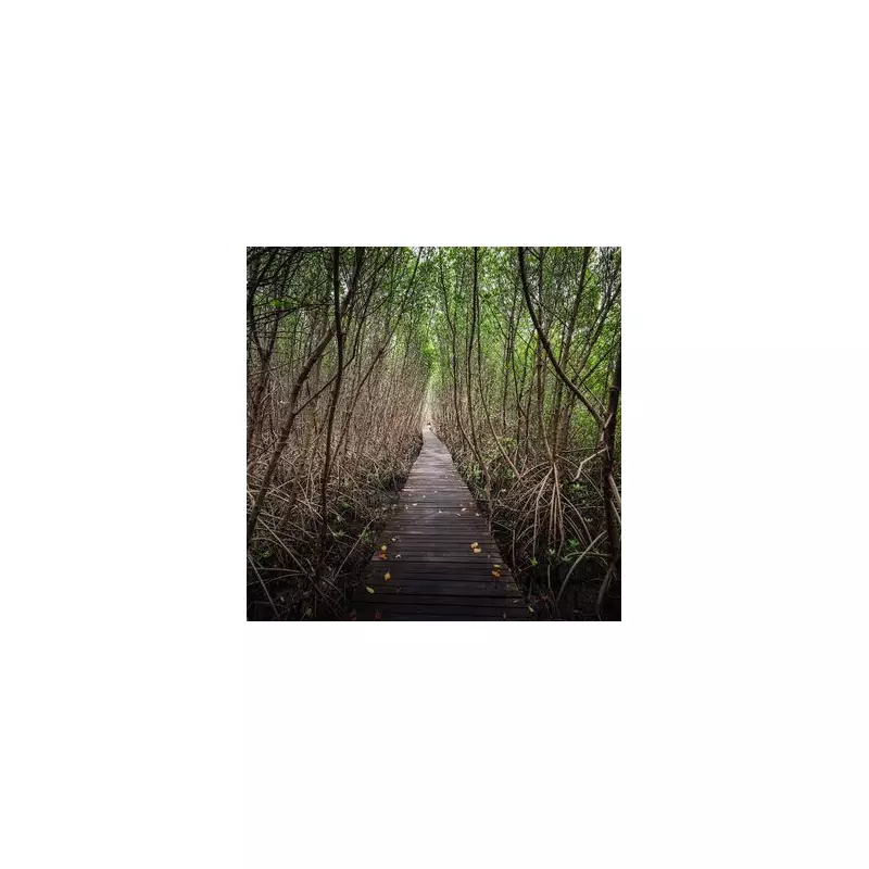 Tourist's Winter Cotswolds Walk Goes Wrong After Forgetting Essential Item