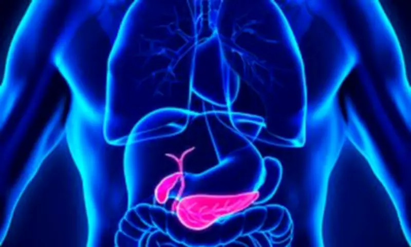 Triple-Drug Therapy Shows Promise in Reversing Pancreatic Cancer in Mice