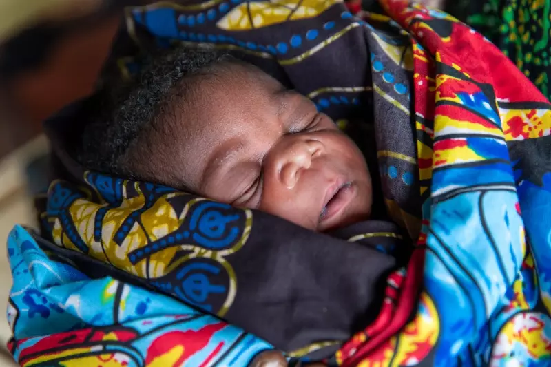 Trump Aid Cuts Halt Lifesaving Maternal Care, Risking Thousands of Mothers