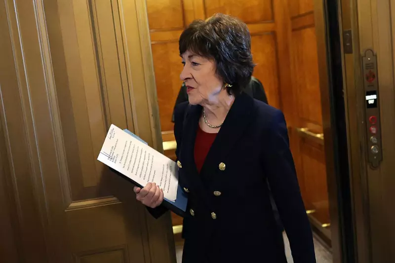 Trump's ICE Raids Threaten Susan Collins' Senate Re-election Bid in Maine