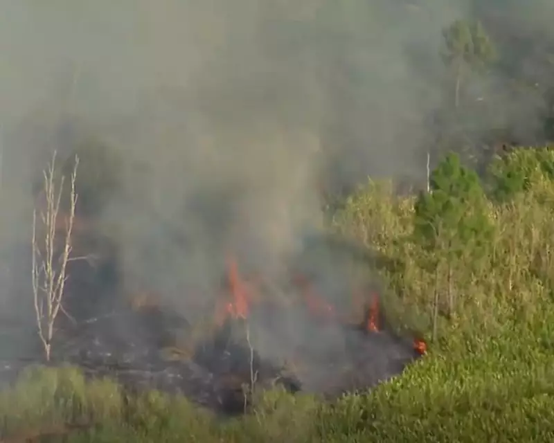 Two Killed in Gold Coast Plane Crash That Ignites Bushfire at Regional Airport