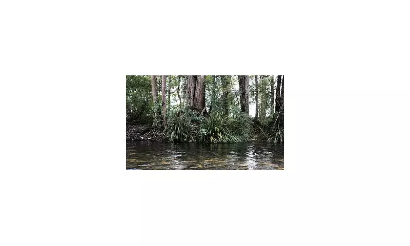 Two Men Drown, Pregnant Woman Hospitalised in NSW River Tragedy