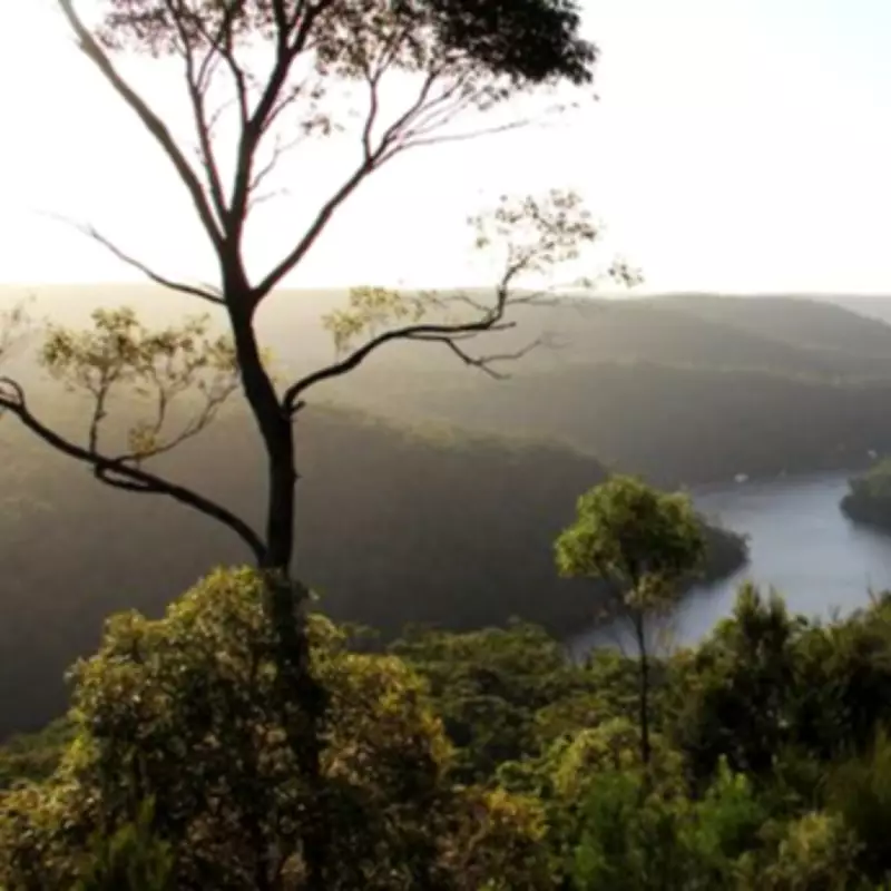 Two Teenagers Hospitalised After Cliff Fall in Berowra Valley National Park