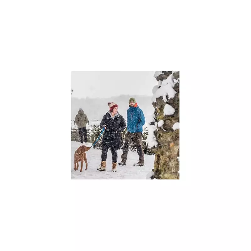 UK Arctic Freeze to Last a Week as Temperatures Plummet to -6.2C