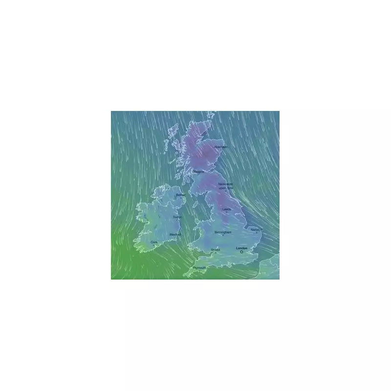 UK Braces for 40cm Snow as Amber Warning Sparks Travel Chaos