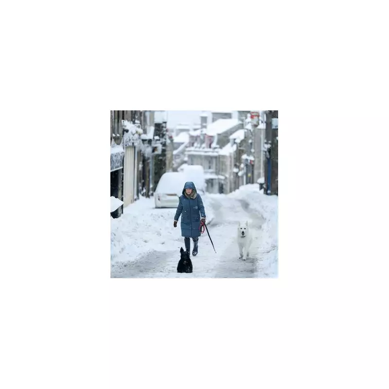 UK Braces for Storm Chandra as -8C Arctic Blast and 3ft Snow Warnings Issued