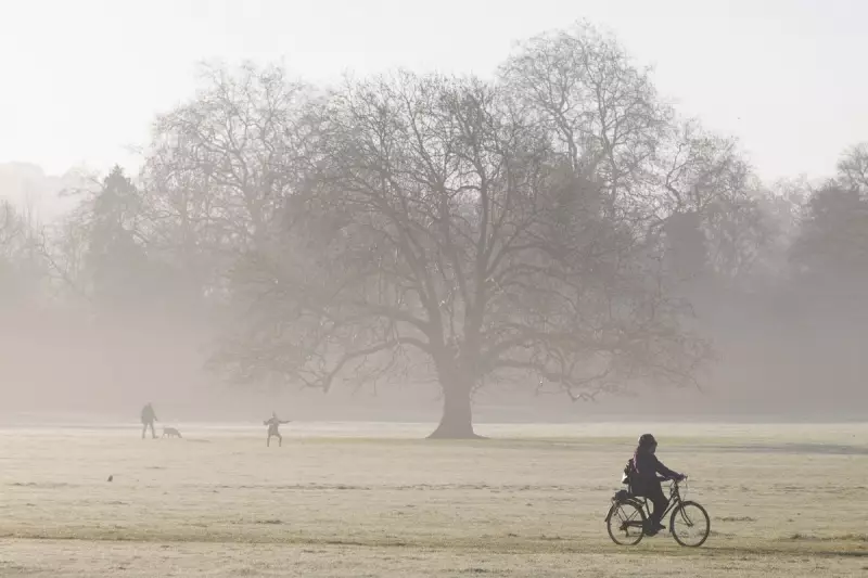 UK Fog Warning: Met Office Issues Yellow Alert After Heavy Rain Batters Nation