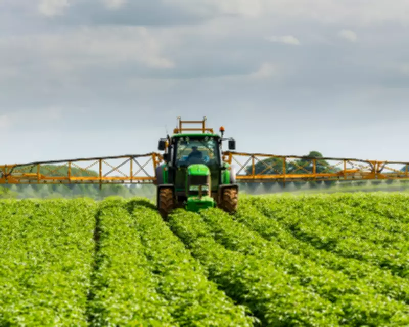 UK Food Sector Demands Transition Period for Post-Brexit EU Rules Realignment