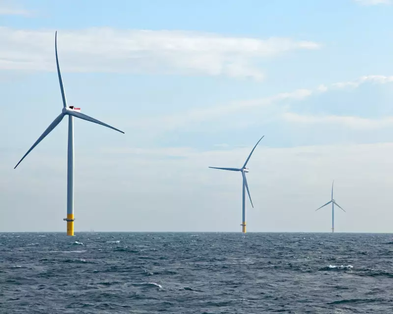 UK Joins 9 Nations in 100GW North Sea Wind Grid Pact to Create Clean Energy Hub