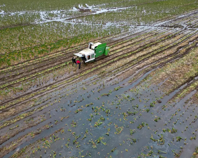 UK Security at Risk from Ecosystem Collapse, Warn Intelligence Chiefs