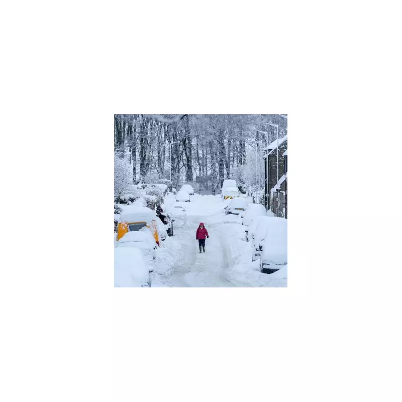 UK Snow: Met Office Amber Warning Sparks Travel Chaos and School Closures