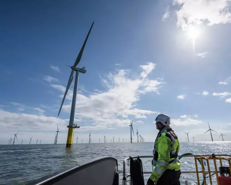 UK's Record 8.4GW Wind Auction Secures Power for 12m Homes at £91/MWh