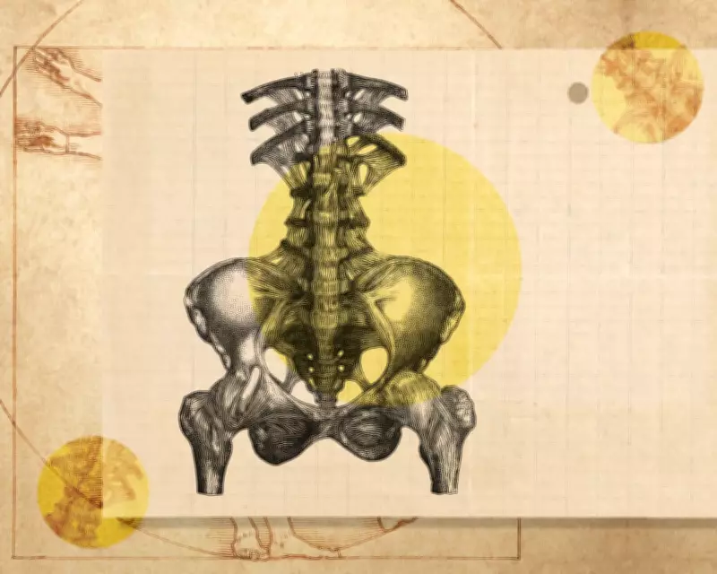 Understanding Lower Back Pain: From Muscle Spasms to Nerve Sensitisation