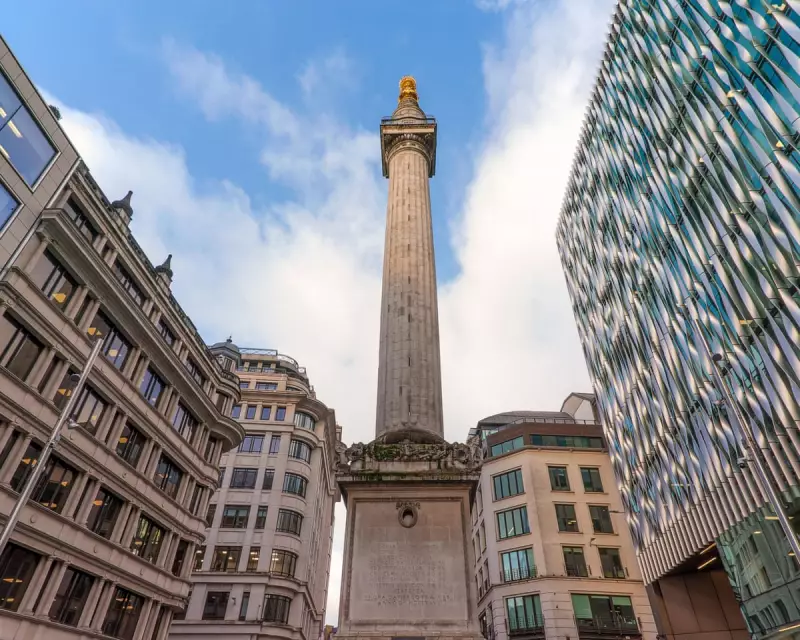 Urban Geology Tours Reveal London's Hidden Fossil Treasures in Plain Sight