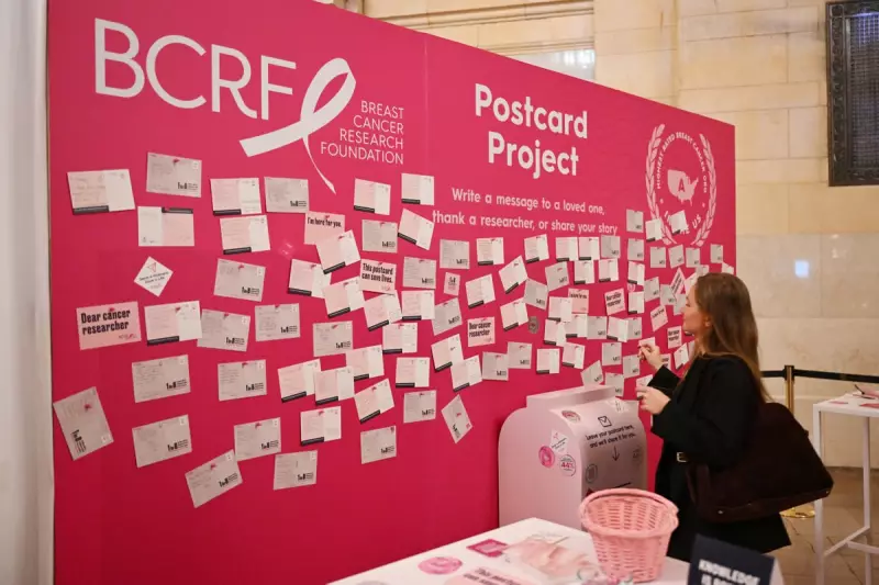 US Cancer Survival Hits 50-Year High, But Funding Cuts Threaten Progress