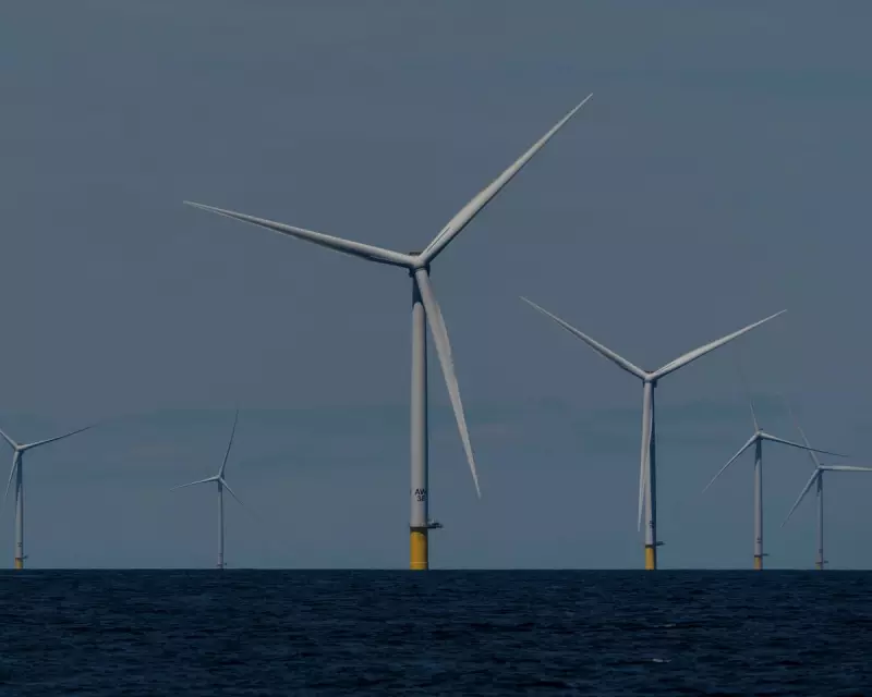 US Judge Overturns Trump's Offshore Wind Farm Halt, Empire Wind Resumes