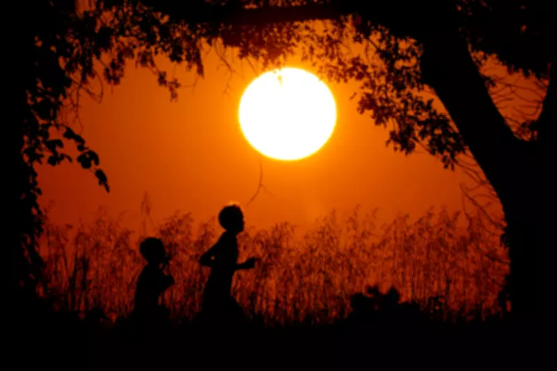 US Life Expectancy Reaches Historic High of 79 Years in 2024