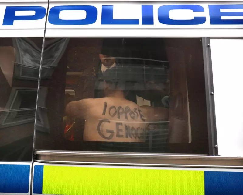 US Official Slams UK Over Palestine Action Arrests: 'Censoring Free Speech'