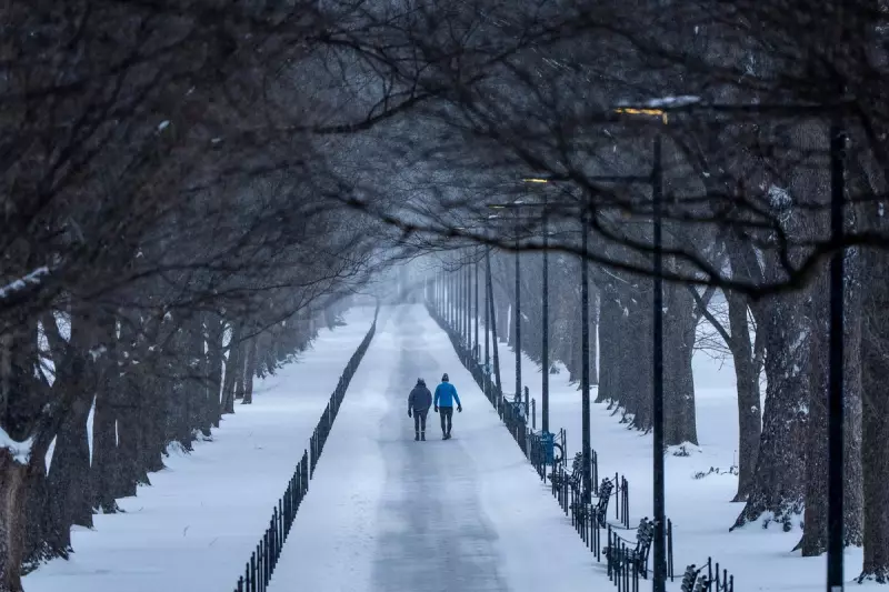 US Winter Storm Paralyzes Nation with Ice, Snow and Power Blackouts