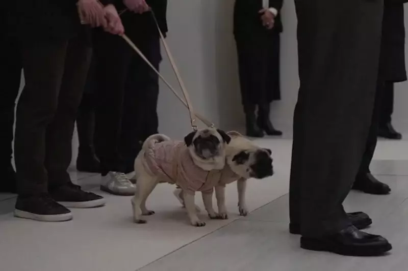 Valentino's Pugs Join Hundreds in Farewell to Fashion Legend in Rome