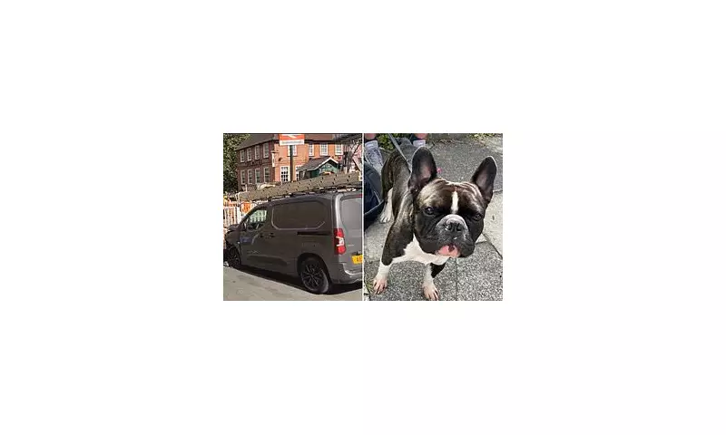 Van Driver Blamed French Bulldog for £22k Crash, Admits Careless Driving