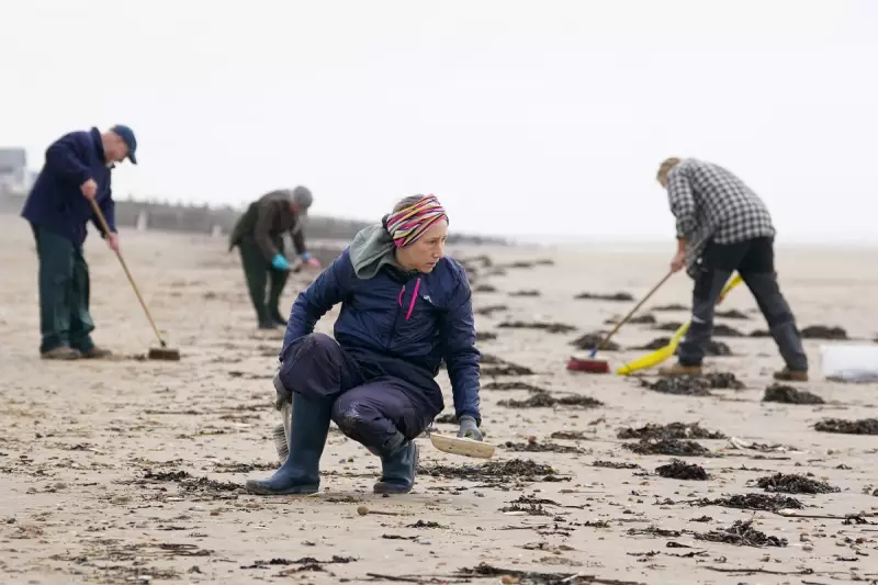 Vegetables, Chips and Insulation Wash Ashore on English Beach After Storm