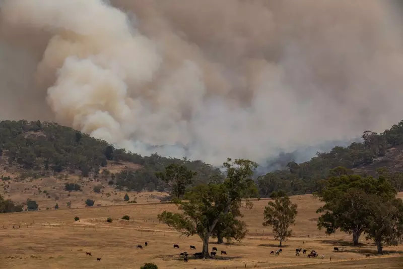 Victoria Bushfires Force Mass Evacuations as Record Heatwave Intensifies