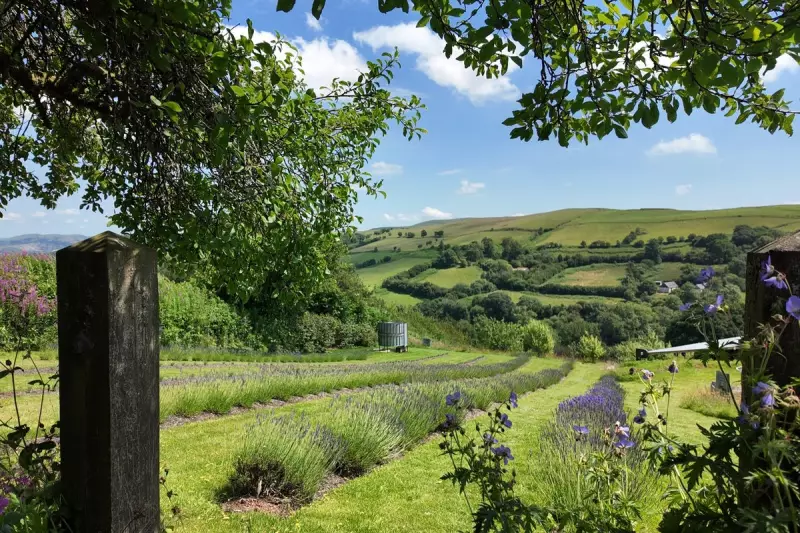 Visit Wales Launches 'Chill Cymru' Meditation Podcast Series for Global Audience