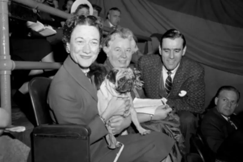 Westminster Dog Show Celebrates 150 Years: Evolution of America's Premier Canine Event