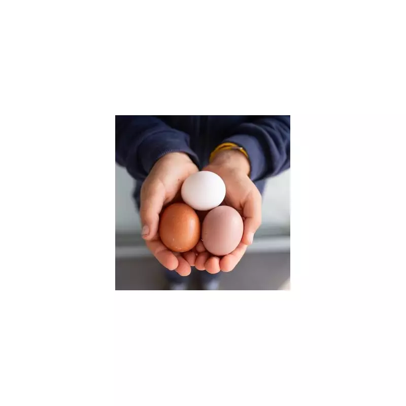 White vs Brown Eggs: Experts Reveal the Only Real Difference